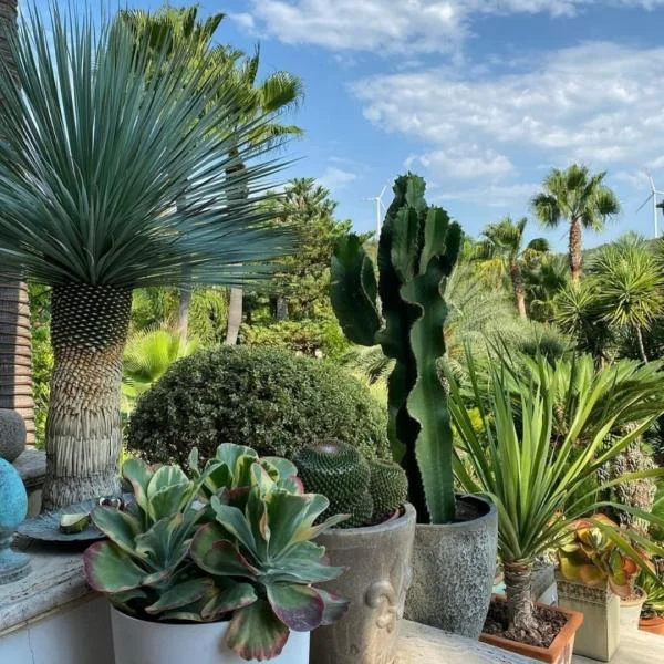 Scalabrinians Special Event